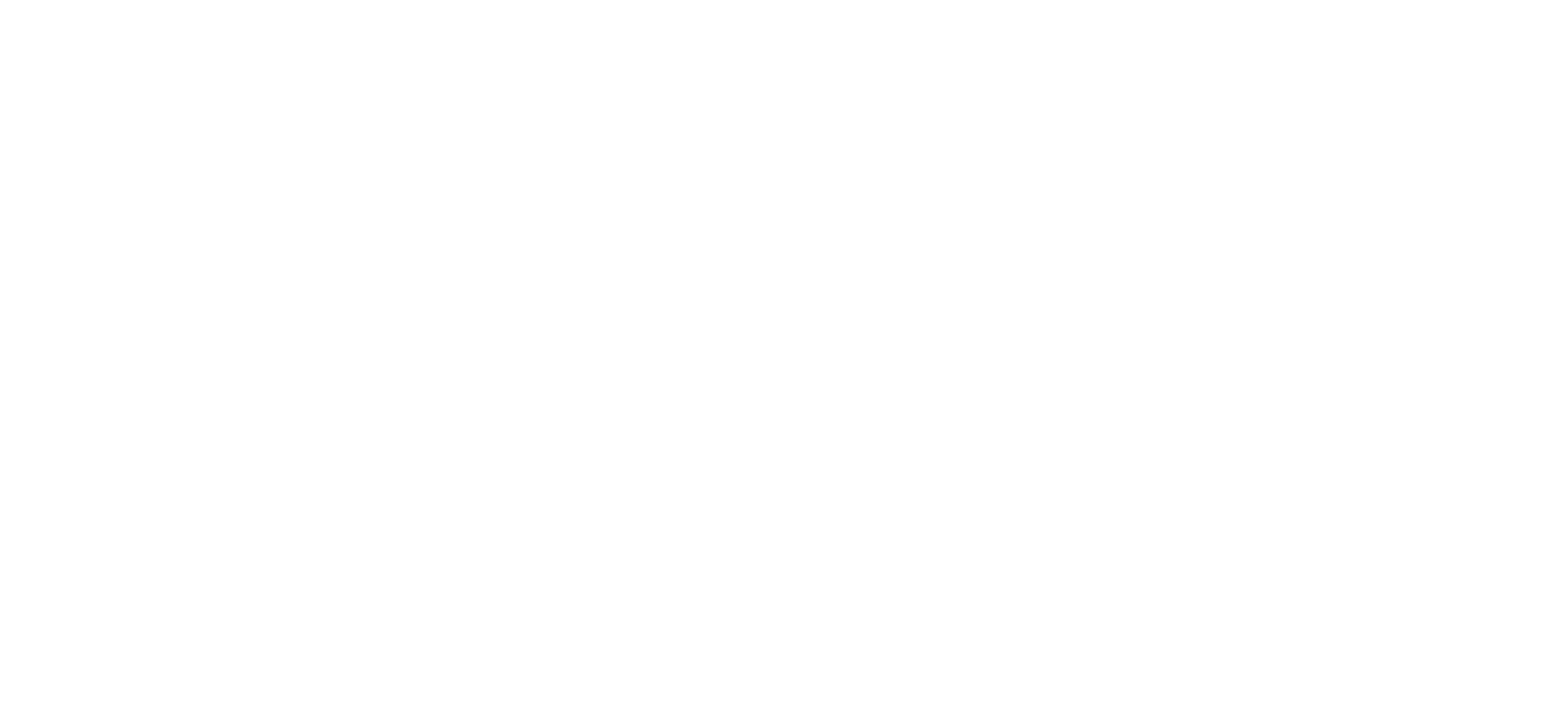 FRSPOT Logo white